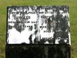 image of grave number 773745
